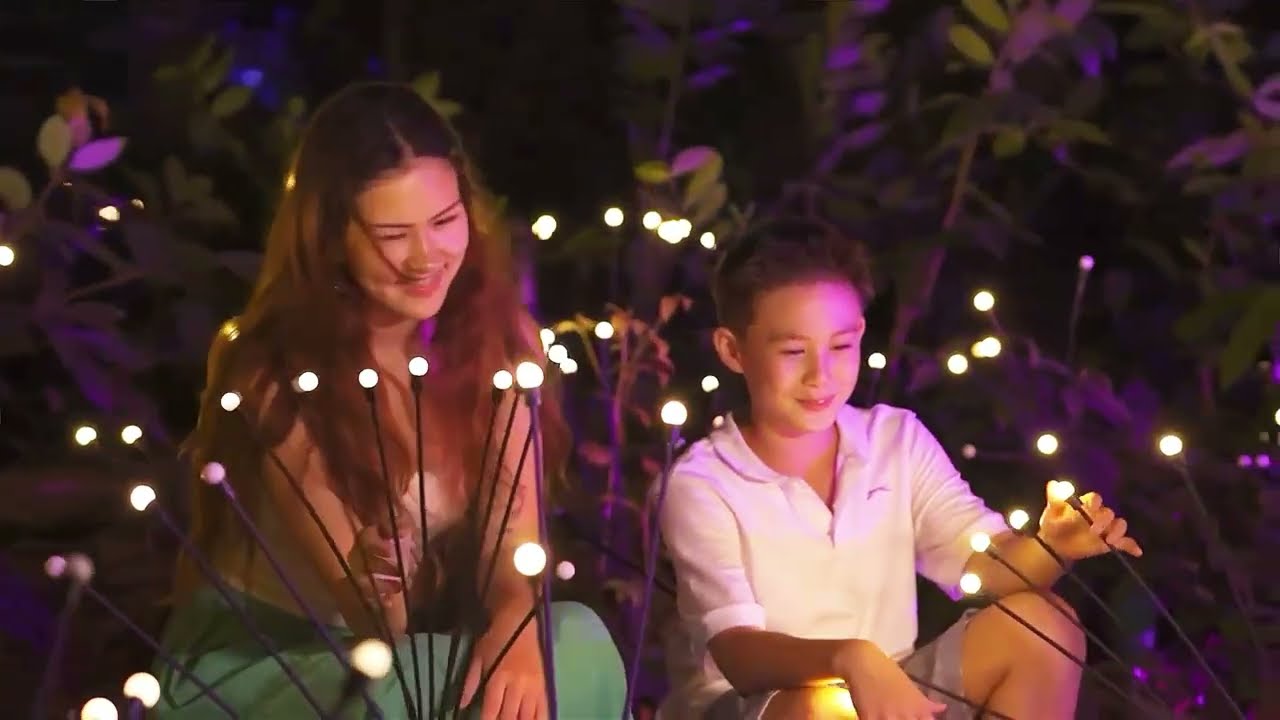 Langkawi’s Enchanted Rainforest Experience | Dream Forest