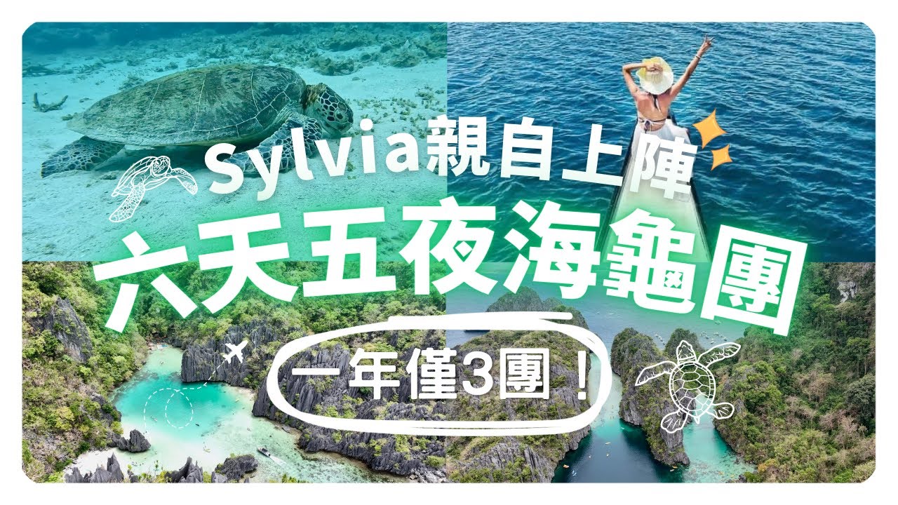 絕無僅有的愛妮島私房行程！Sylvia親自帶你玩！野放海龜寶寶/絕美秘境跳島/淨灘淨海｜深深愛上愛妮島