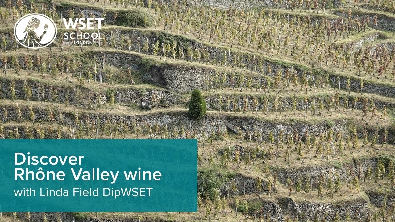 Discover Rhône Valley wine with Linda Field DipWSET