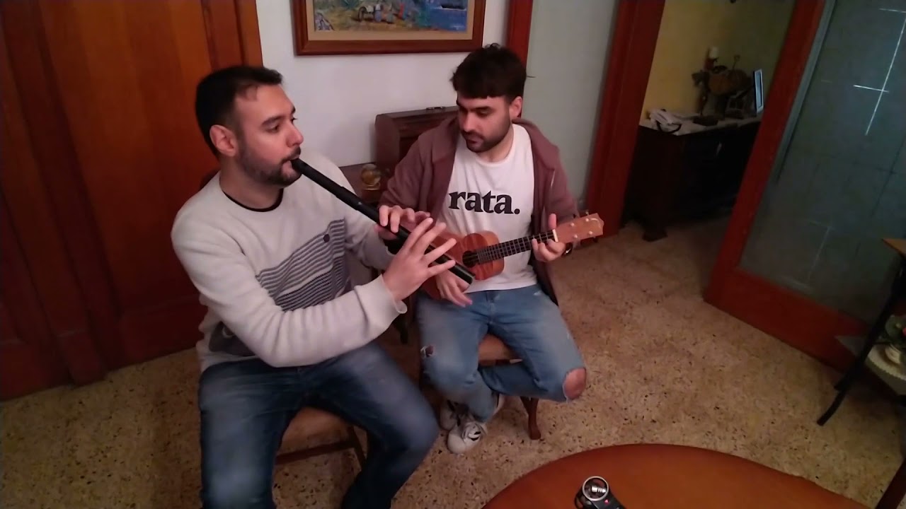 The Donegal Lass / The Spotted Dog - Two jigs on F low whistle & ukelele