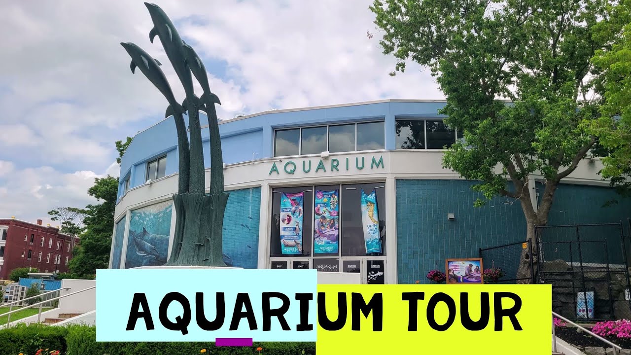 Aquarium of Niagara