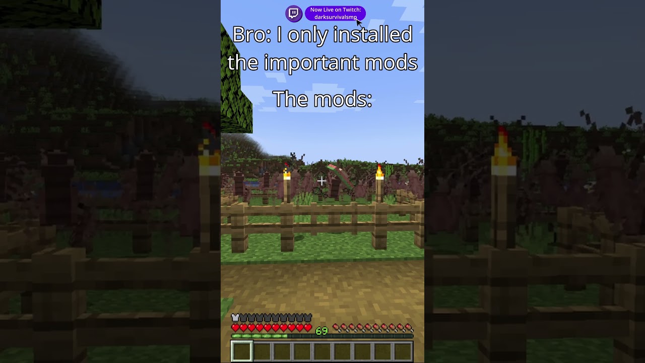 Bro said he had installed important mods... 💀