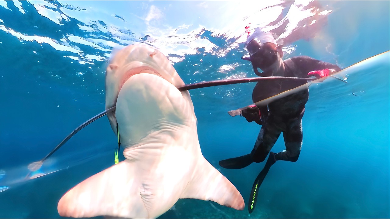 無人島で100時間サバイバルしてみた【後編】
