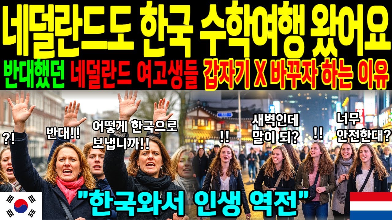[해외감동사연] 한국 수학여행 갔던 네덜란드 명문 여고생들 “서울이 우리보다 더 안전하다고?