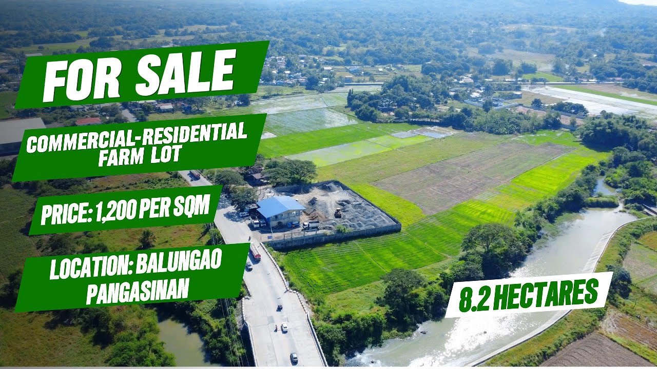 (519) FOR SALE 8.2 HECTARES, IDEAL FOR COMMERCIAL AND INDUSTRIAL, ALONG NATIONAL HIGHWAY