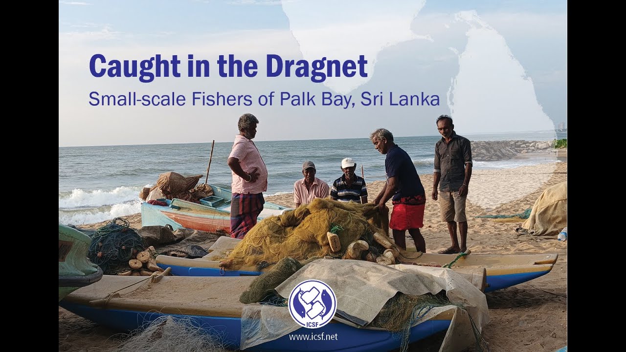 Caught in the Dragnet: Small-scale Fishers of Palk Bay, Sri Lanka
