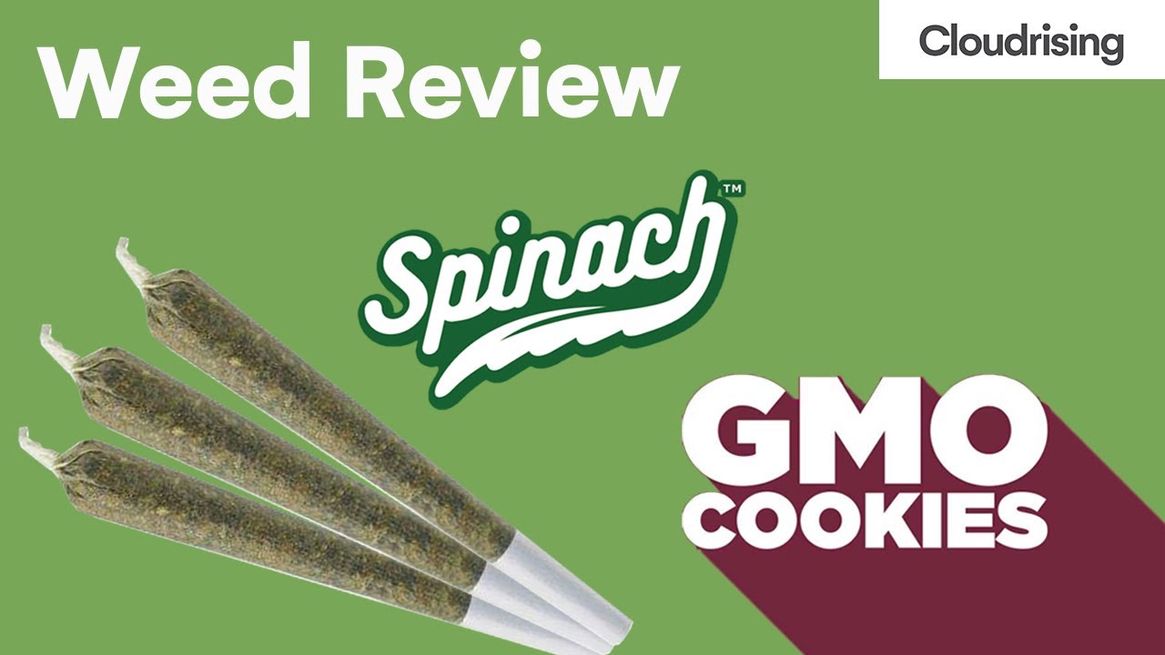 OCS Weed Review - GMO cookies - Spinach Cannabis