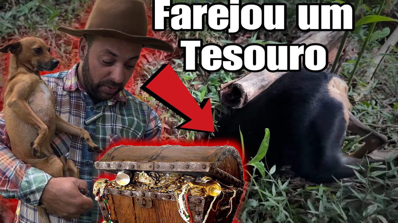 Cachorro fareja um BAÚ DE TESOURO deixa esta família Rica