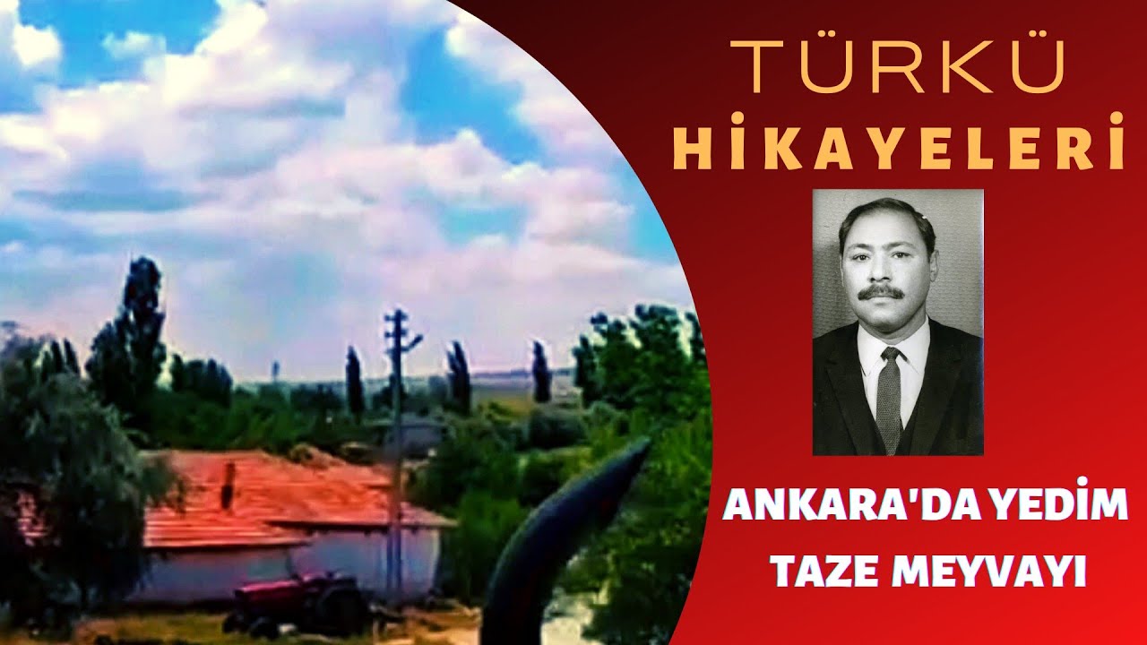 Türkü Hikayeleri 