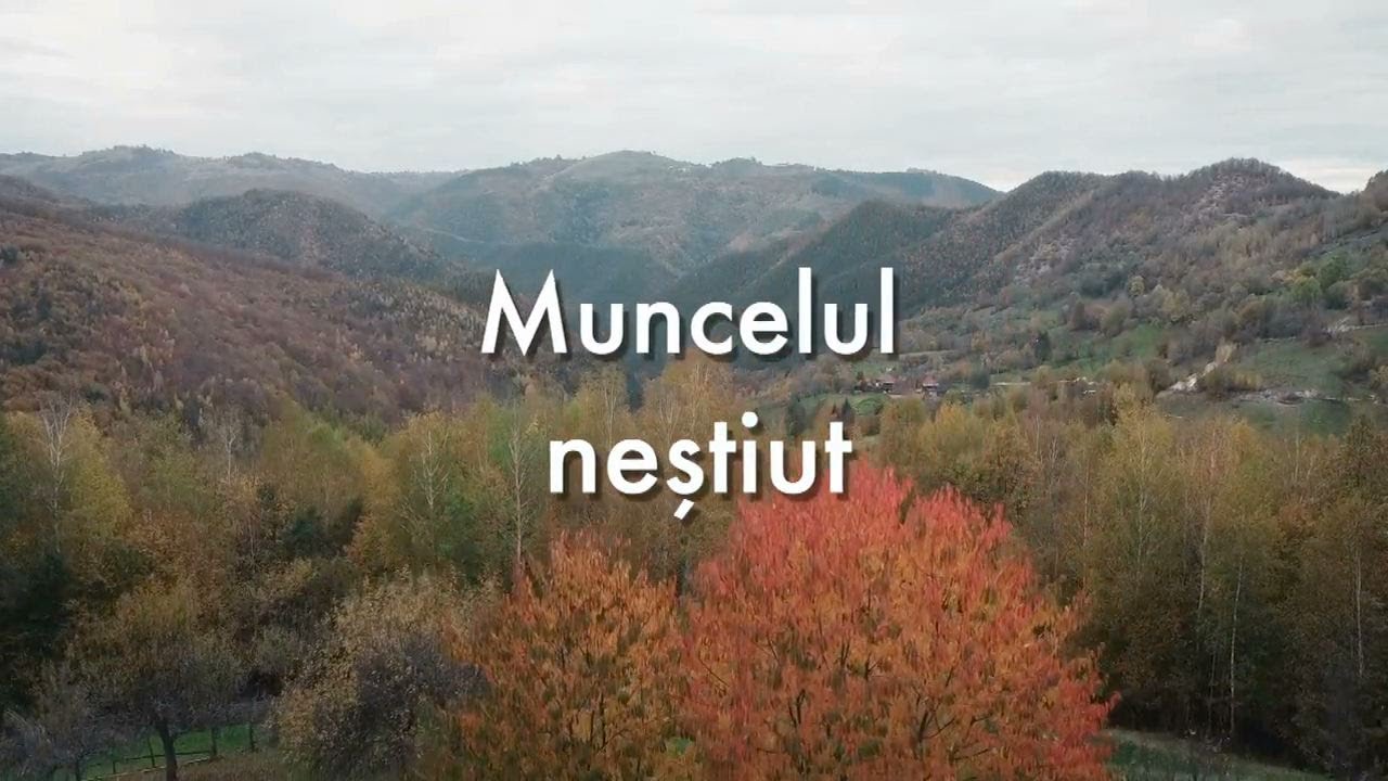 Exclusiv în România: Muncelul neştiut (@TVR1)