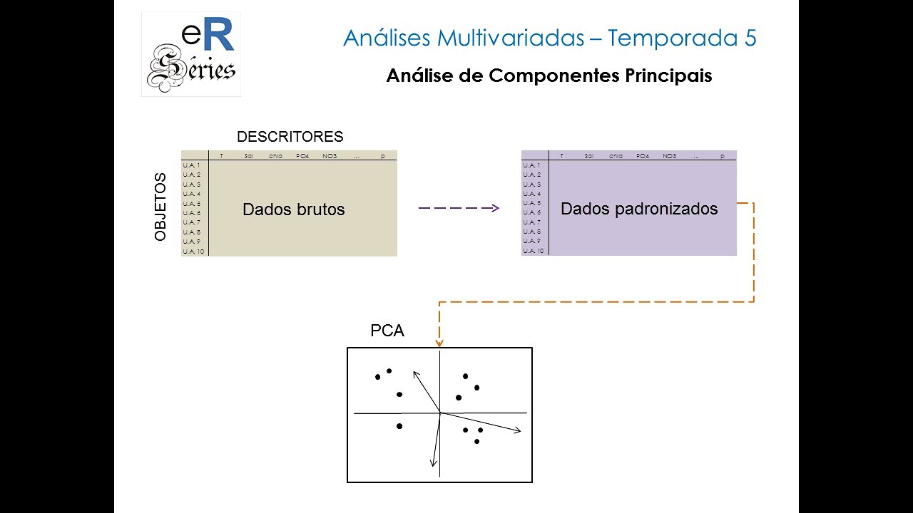 easyR Séries Análises Multivariadas: Gráfico da PCA e interpretação (T5 | ep 5)