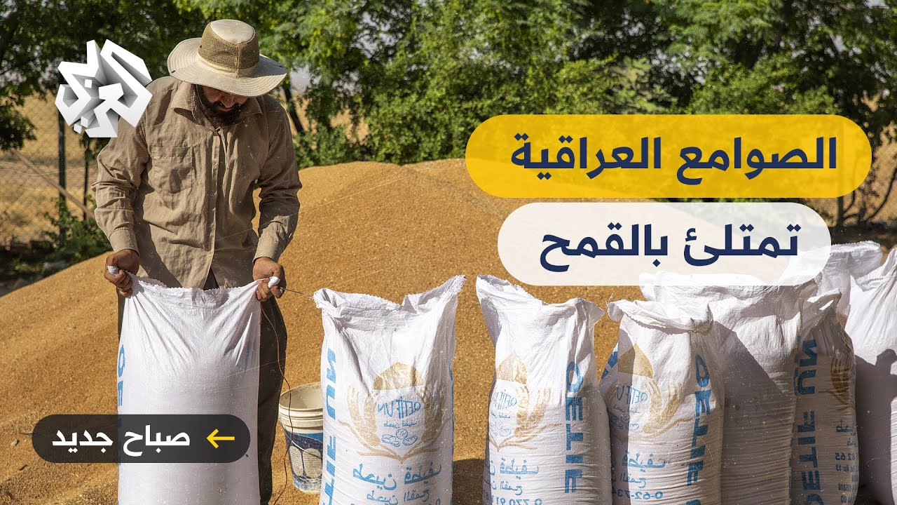 صباح جديد │ العراق .. تحقيق الاكتفاء الذاتي من لقمح لمدّة تزيد عن عام كامل