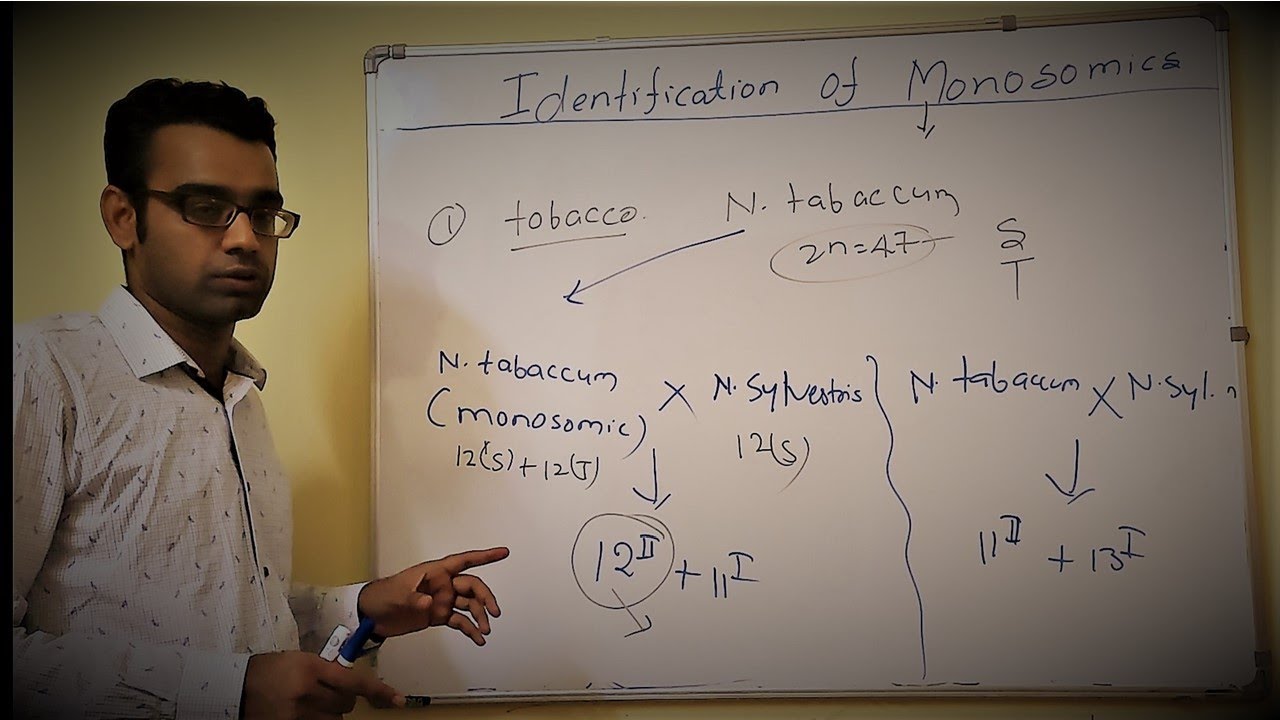 Monosomics Part 2 (Identification of Monosomics)|