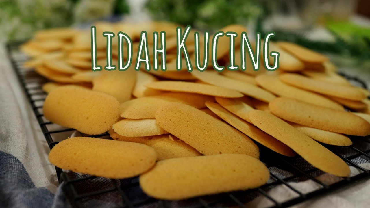 LIDAH KUCING