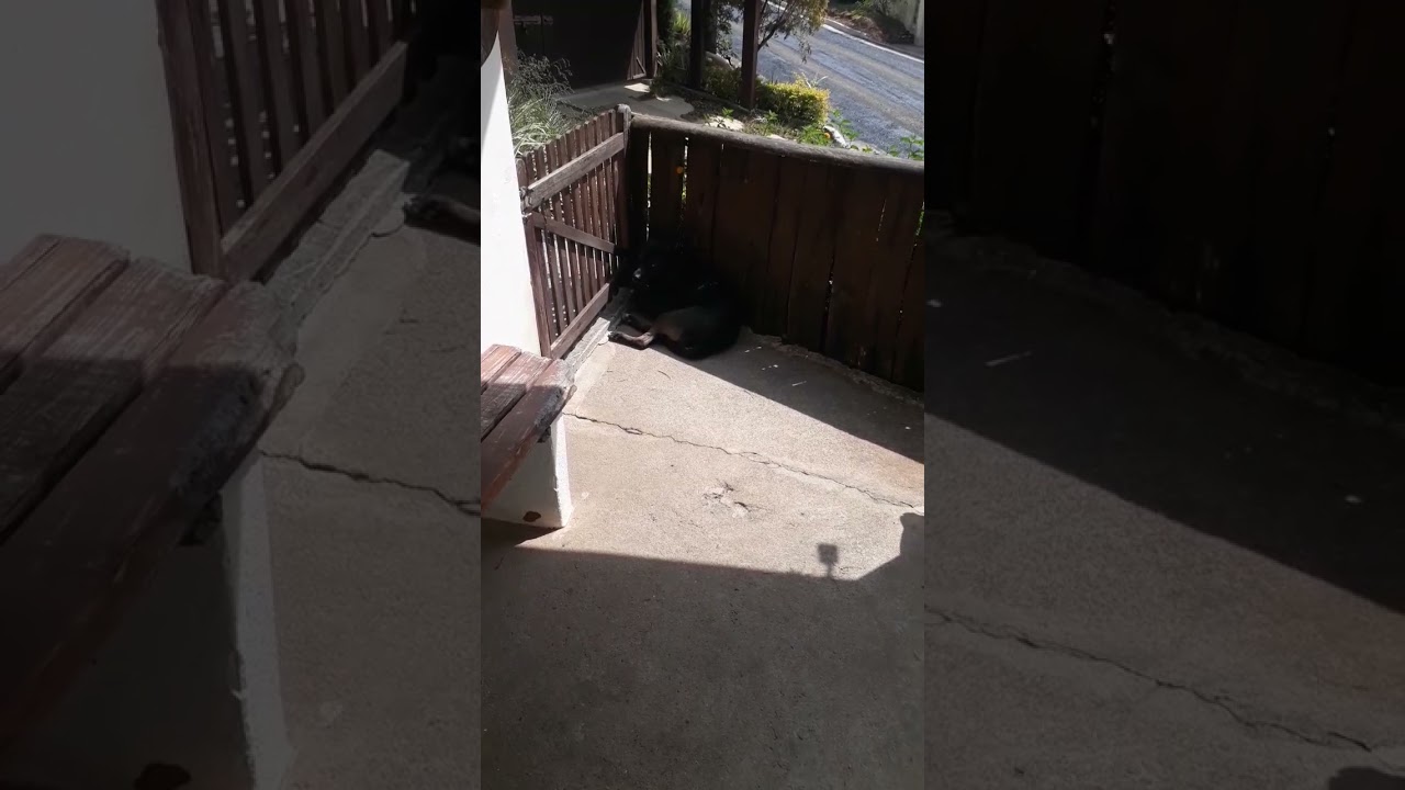 31 de agosto de 2023