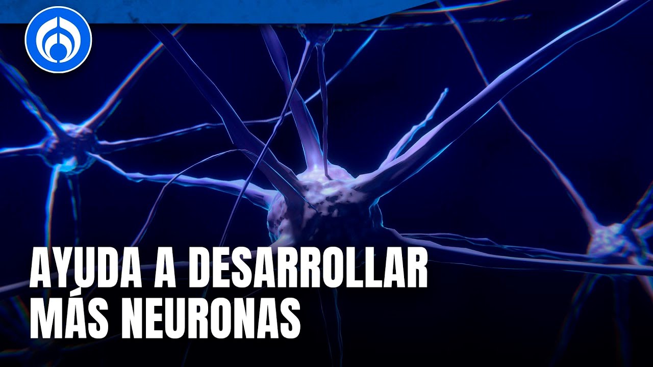 ¿Qué es una persona Polímata?, Dr Lozano explica