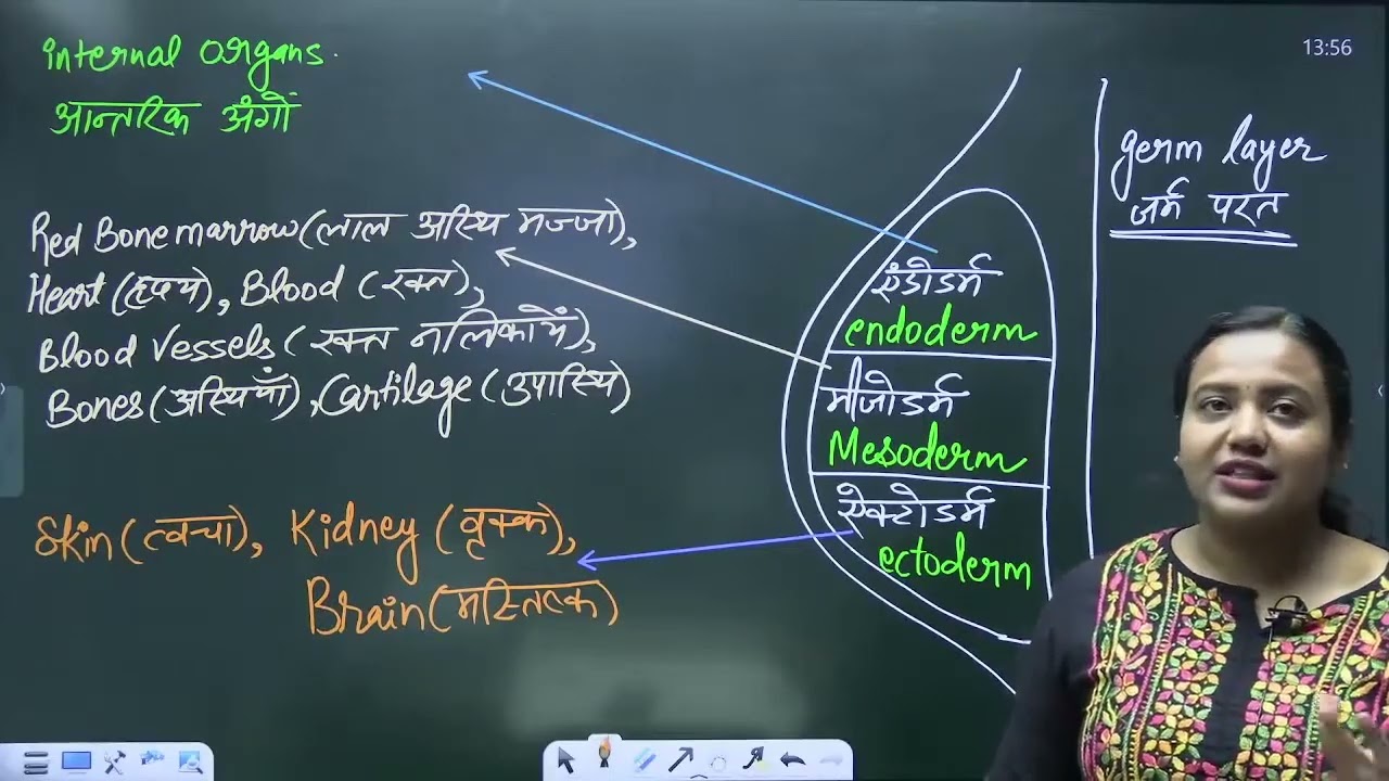 Lecture     Formation of bones and Cartilage    हड्डियों और उपास्थि का निर्माण