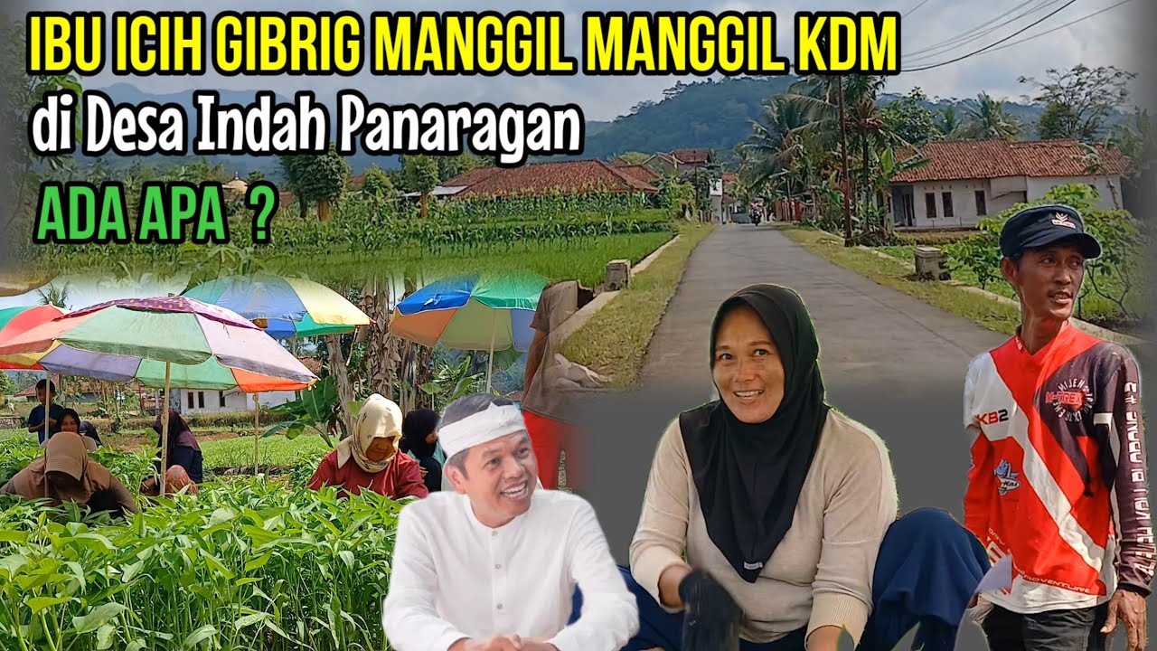 Ibu Icih Gibrig Panggil Panggil Bapa Aing KDM di Desa Panaragan,Ada Apa? #alamdesa #kdm #dedimulyadi
