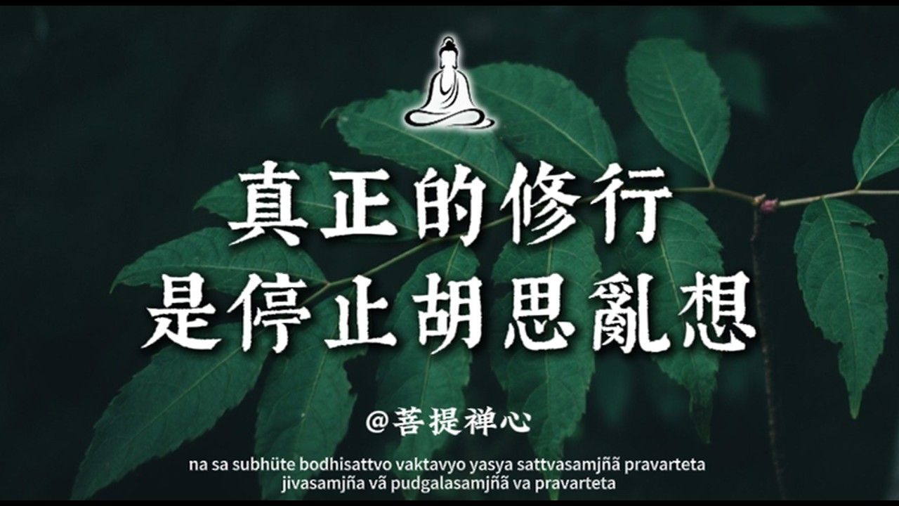 佛陀早就提醒：想太多的人，最容易耗盡一生的福報｜菩提禪心#佛学 #人生感悟 #修行 #修心修行 #國學 #治愈