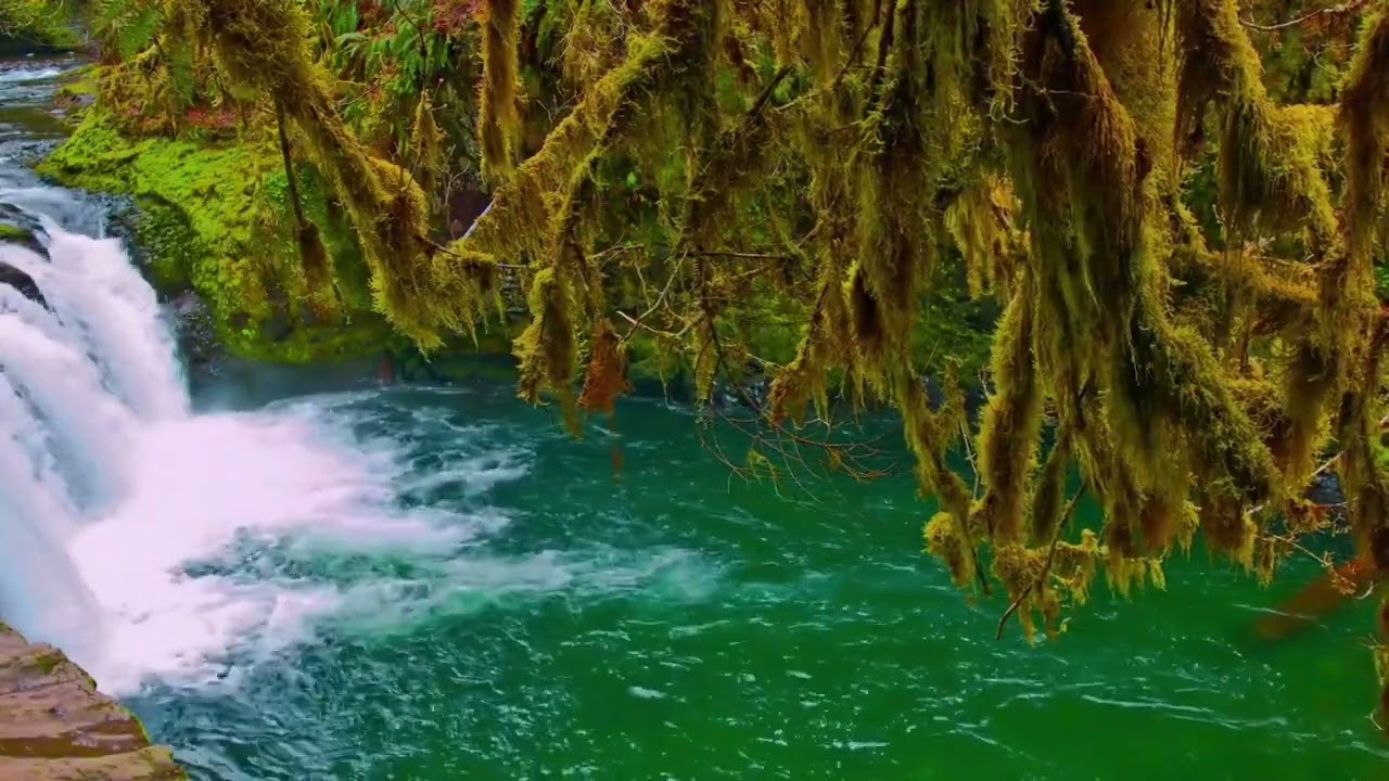 آذان بمقام الماهوري