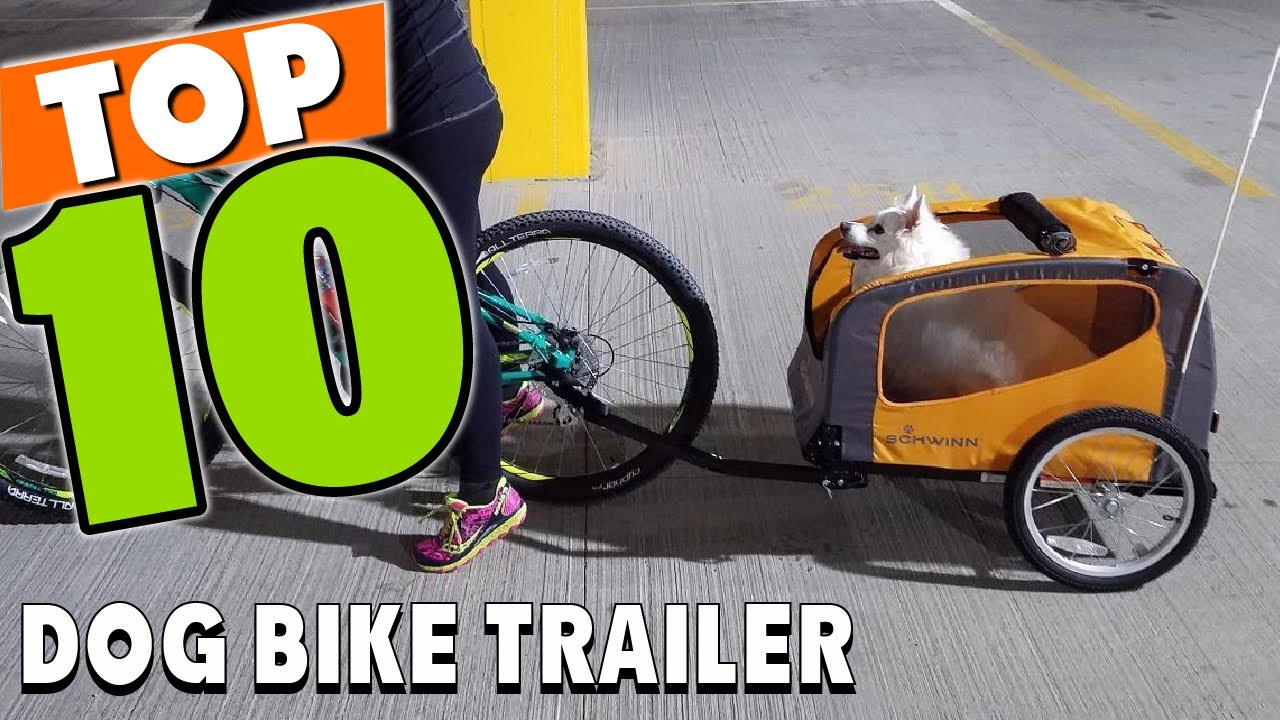 Best Dog Bike Trailer In 2025 - Top 10 Dog Bike Trailers Review