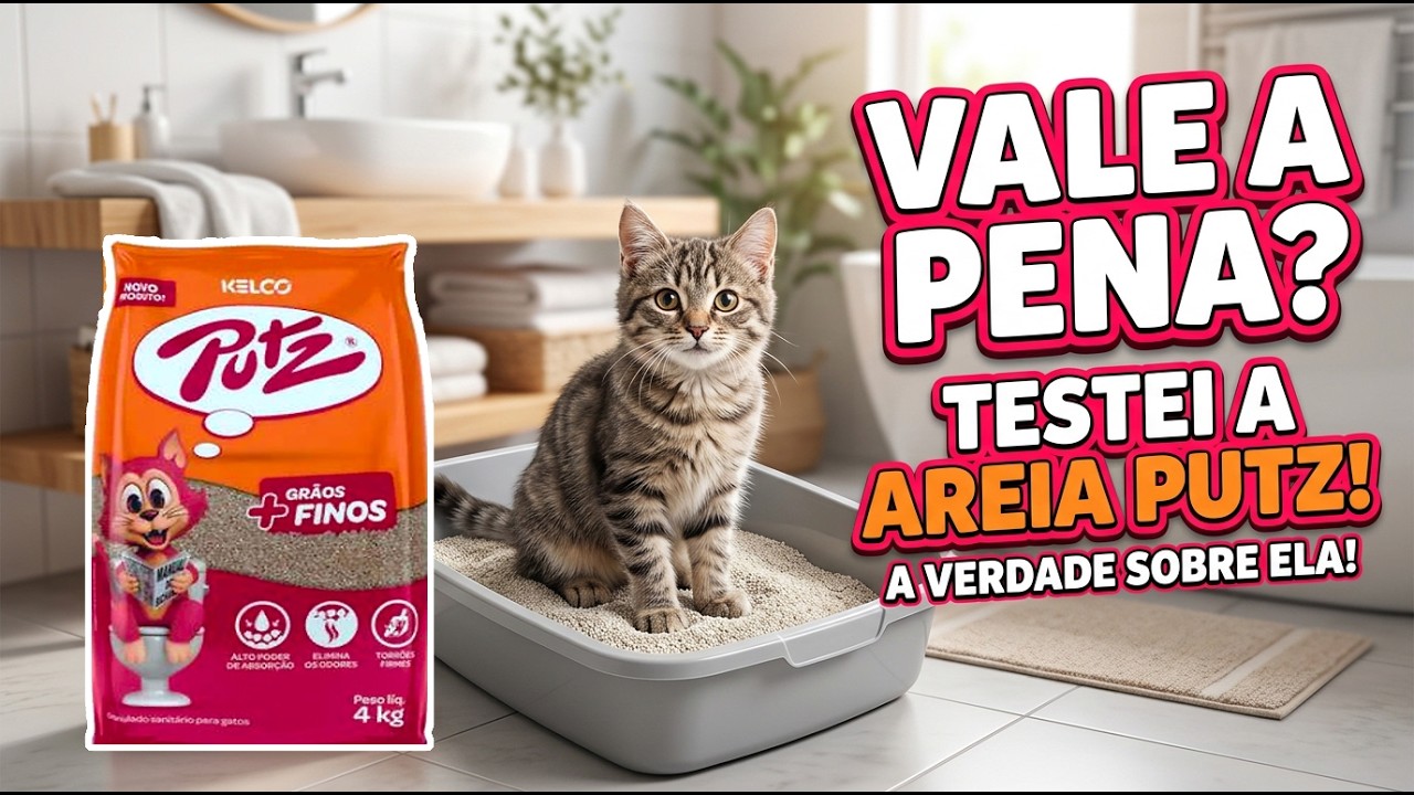 AREIA PARA GATOS PUTZ GRÃOS MAIS FINOS - Gatil Hauser