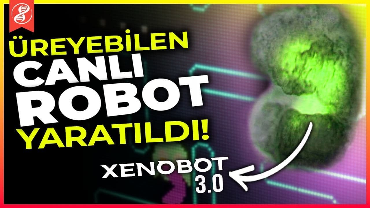 Xenobot 3.0 &Uuml;retildi: Bu Robotlar Canlı ve Artık &Uuml;reyebiliyorlar!