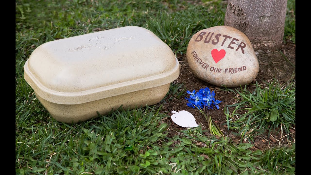 Paw Pods - Biodegradable Pet Burial Pods