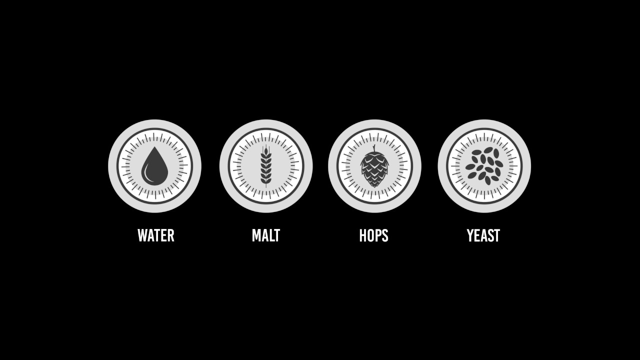 Water + Malt + Hops + Yeast