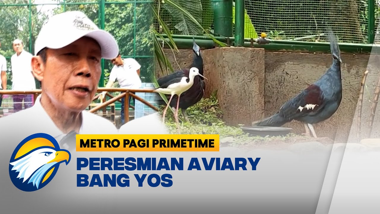 Sutiyoso Bangun Aviary Sebagai Kecintaan pada Burung