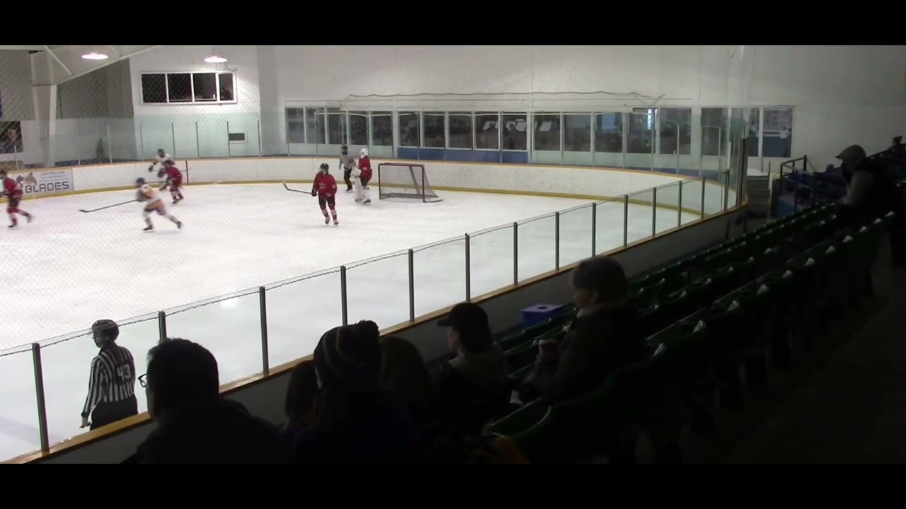 U18aaa mb league goaltender short handed assist ( tponton)Feb/26