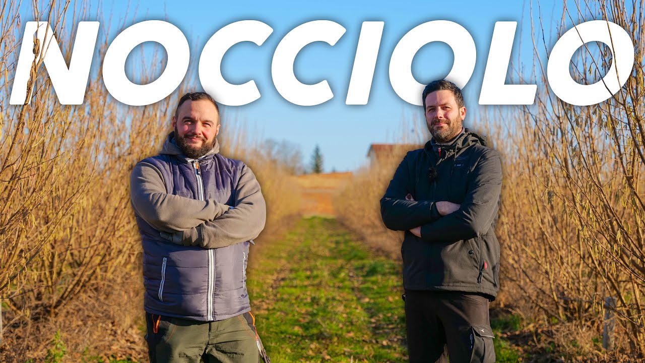 POTATURA DEL NOCCIOLO - un esperto spiega tutti i trucchi