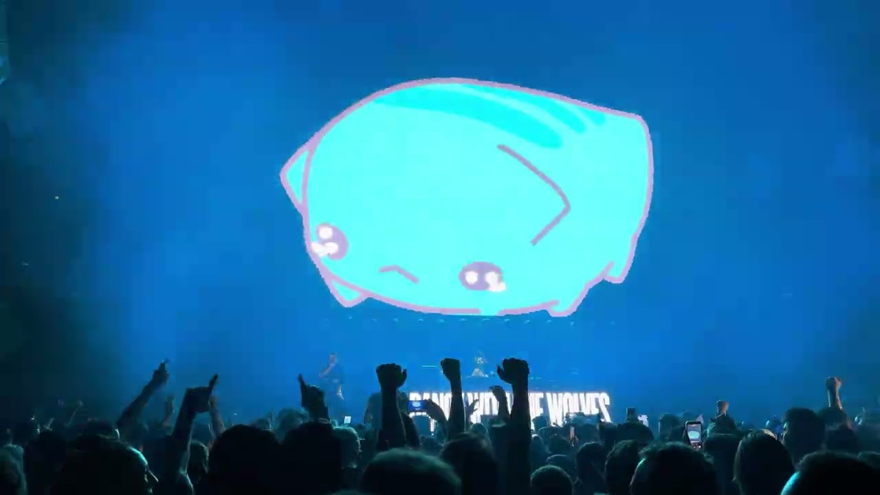 Reverze 2026 | Hysta