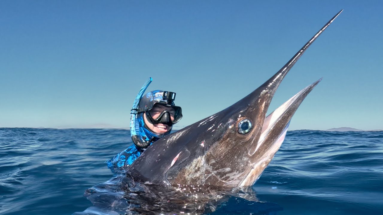 I Love Eating Marlin | An Ethical Dilemma