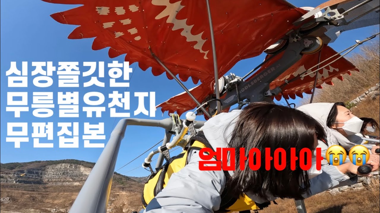 [소리 및 욕설 주의] 무릉별유천지 알파인코스터 / 롤러코스터형집라인 / 스카이글라이더 / 오프로드루지 무편집본 영상