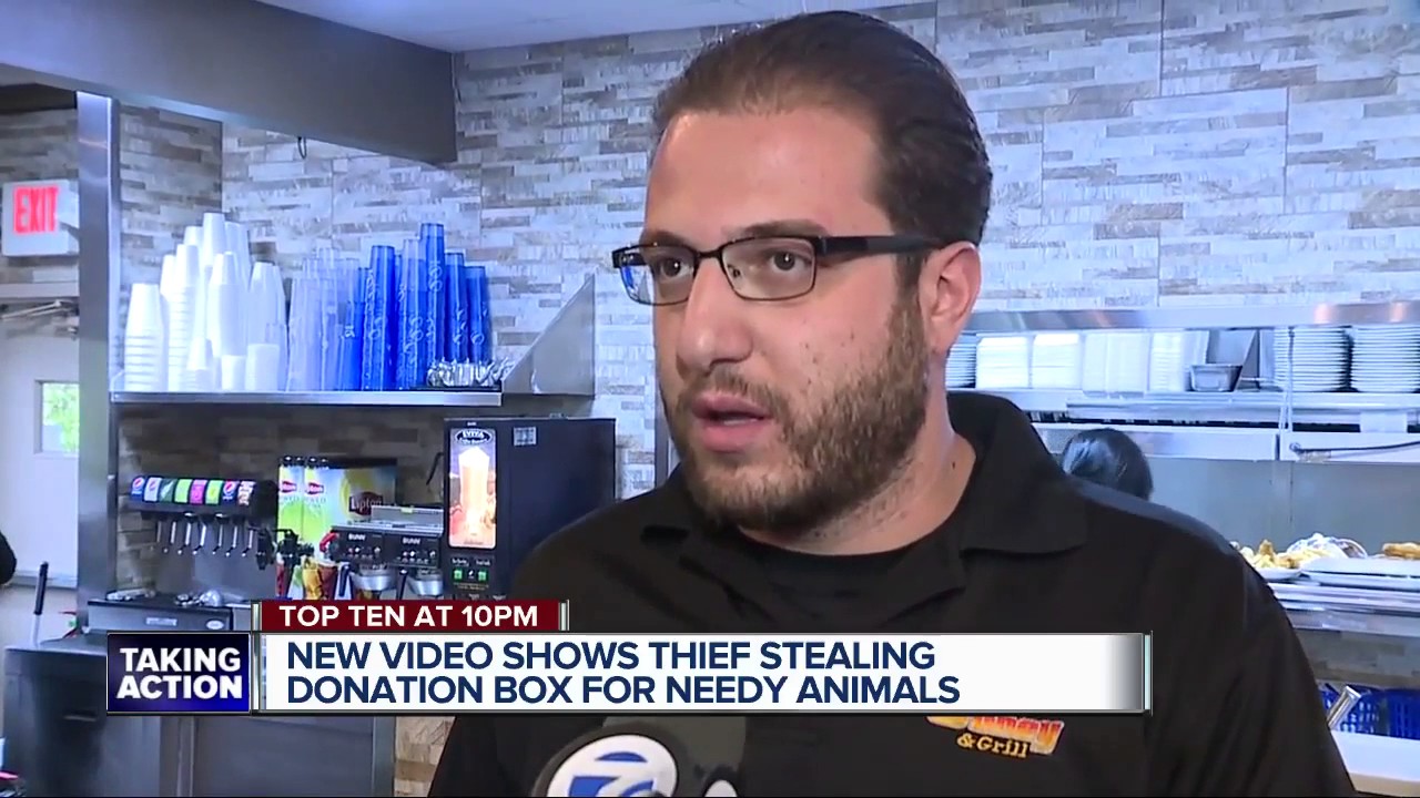 New video shows thief stealing donation box for needy animals