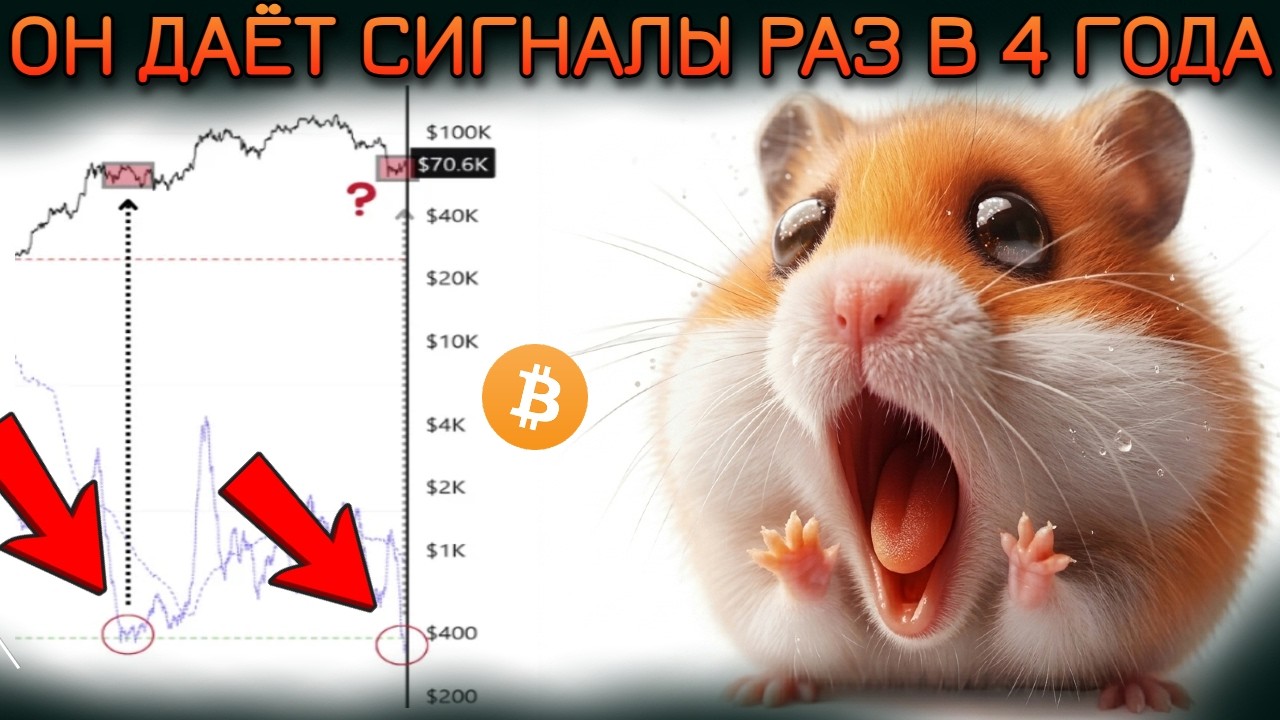ДА ДА СЕЙЧАС ОН СИГНАЛИТ🚨 НО МЫ ЖДЁМ 40к как 🐹