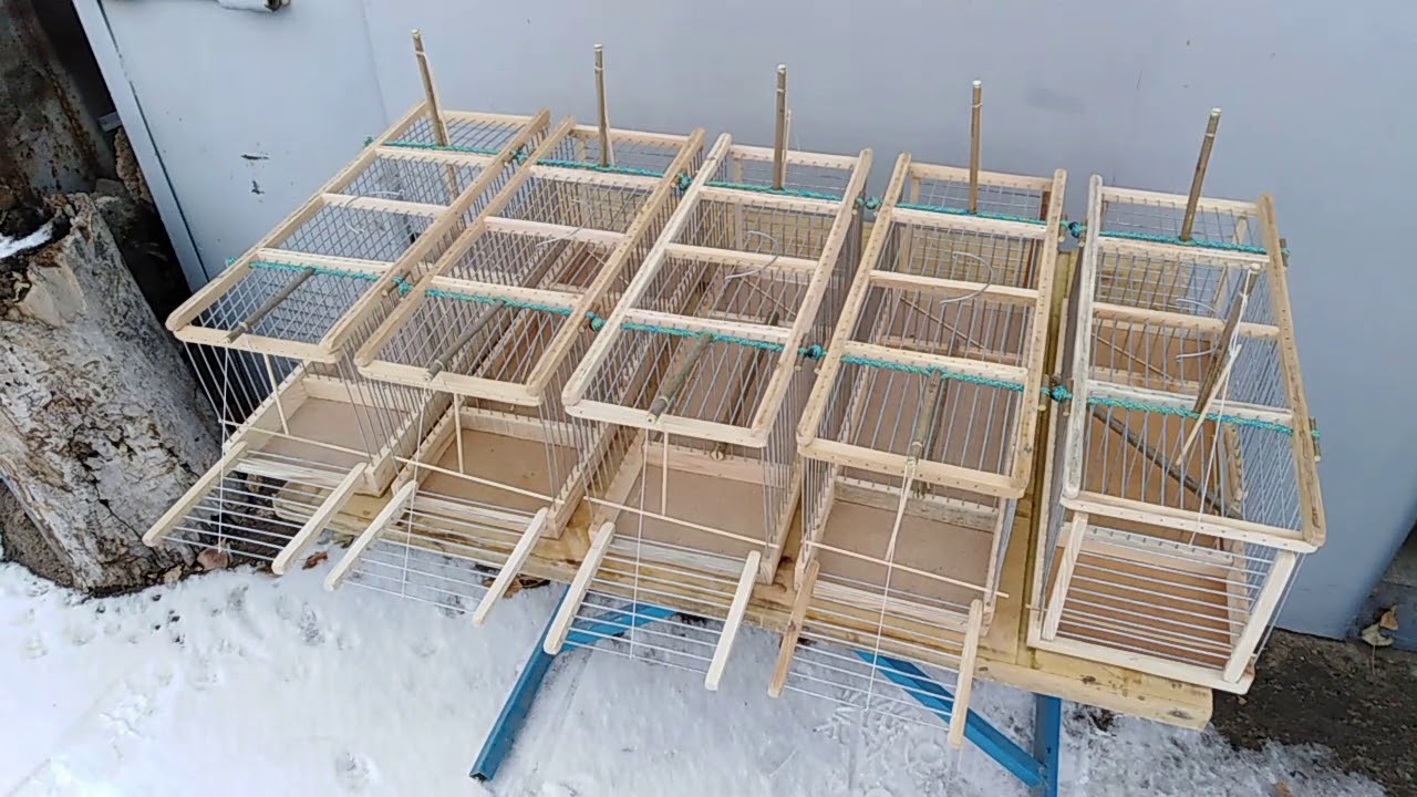 Мужики, доставайте заначки, западки готовы!