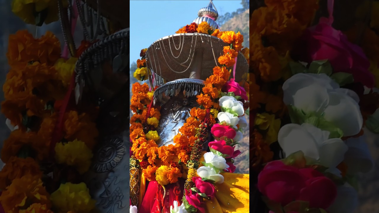 UTTRAKHAND MOST BEAUTIFUL FESTIVAL BASANT PANCHMI UTTARAKHAND CULTURE #pahadi #viralshorts #new