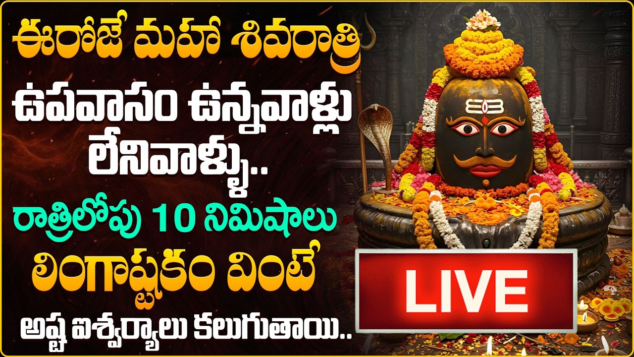 LIVE : MAHA SHIVARATRI SPECIAL LINGASHTAKAM || POPULAR BHAKTI SPECIAL SONGS ||  @HITTVOFFICIAL