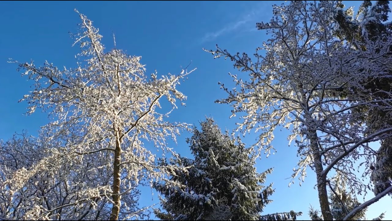Winter Has Come - Part 2