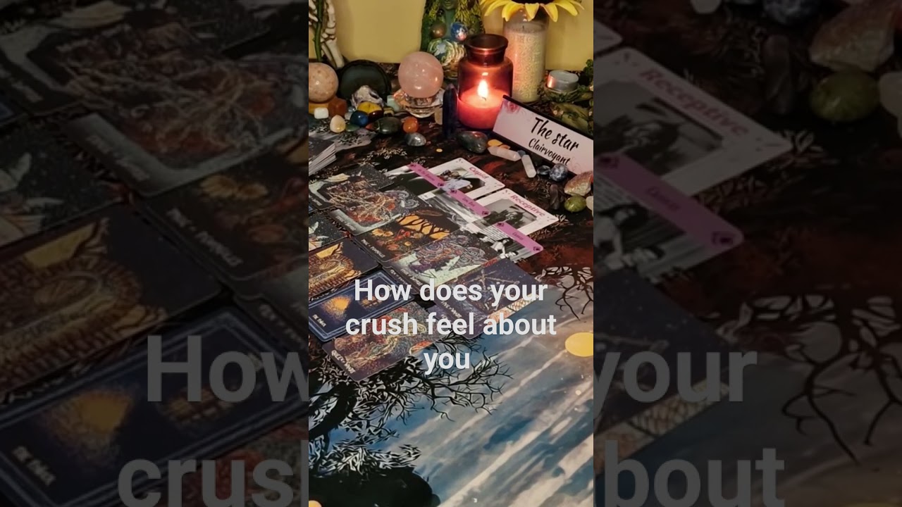 How does your crush feel about you? #love #crush #tarot #tarotcardreading #shorts