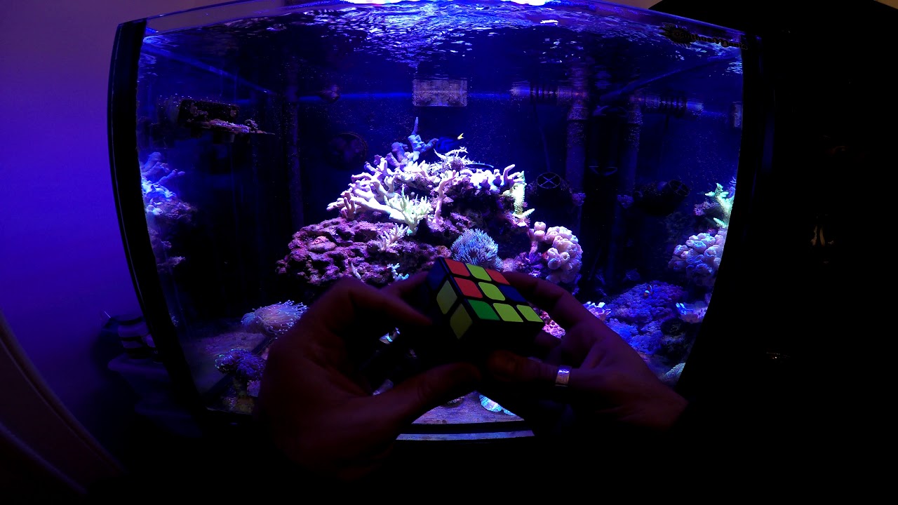 GIVEAWAY | (LEE LA DESCRIPCI&Oacute;N!) | Cubes4u