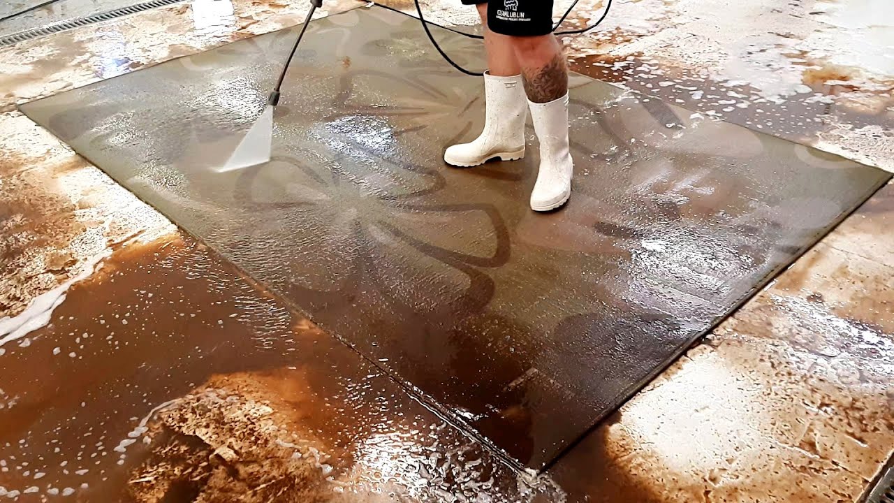 Removal of rust from flooded carpet | satisfying video | asmr cleaning