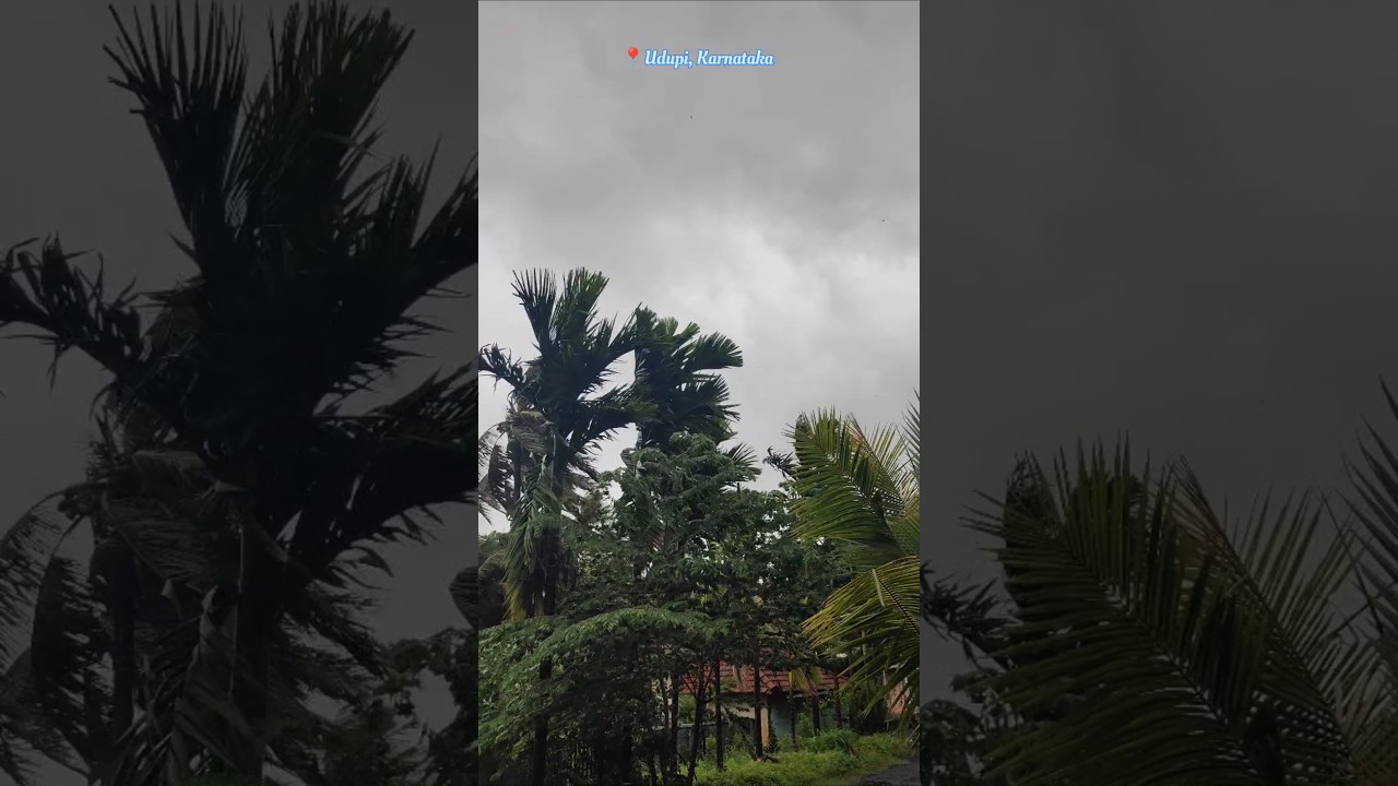 📍Udupi, Karnataka #monsoon #rain #udupi #weather