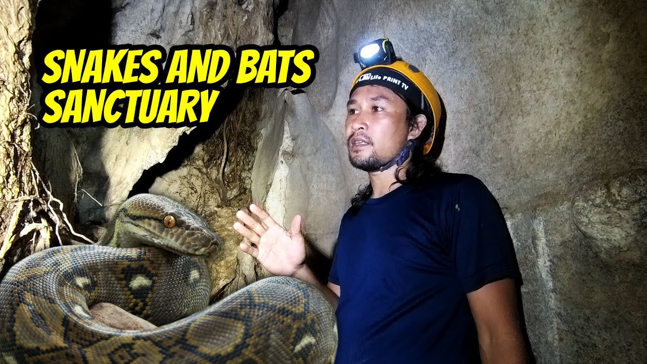 THE SANCTUARY OF SNAKES AND BATS | DARAM CAVES | PART 4/4