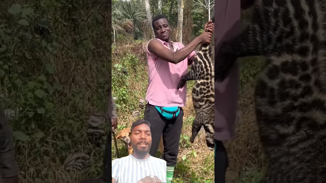 the tribal tribe hunt the animal and bring it home 😱