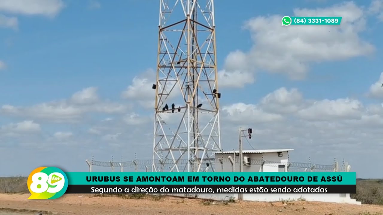 Urubus se amontoam em torno do Abatedouro Público Municipal Prefeito Sebastião Alves Martins em Assú