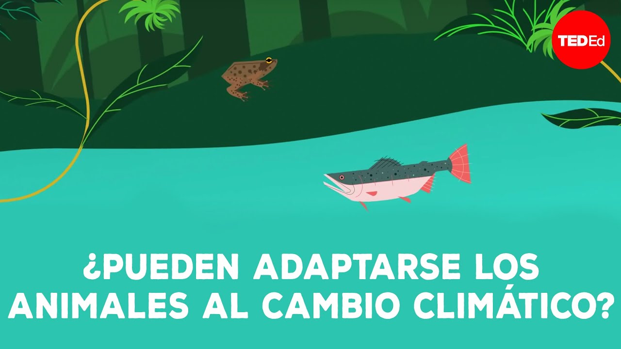 ¿Puede la vida silvestre adaptarse al cambio climático? - Erin Eastwood