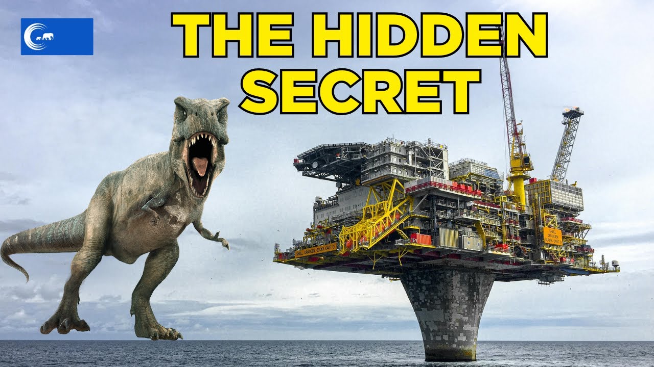 Inside Crude Oil | Not Dinosaurs But Prehistoric Ecosystems